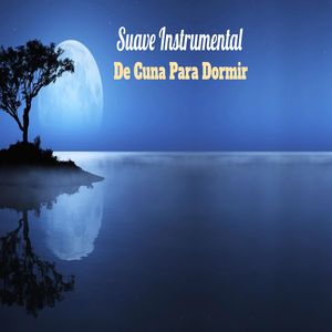 Estimula La Audición