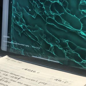 椿野漫歌