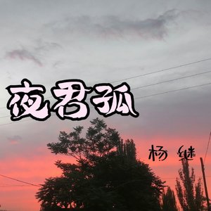 夜君孤