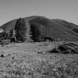 world's end girlfriend-光を映す影（Remix）（卫思宇 remix）