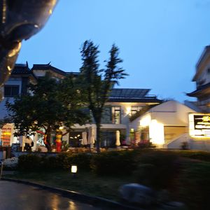 去北极忘记你