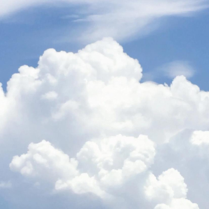 离岸（翻自 苏晗）