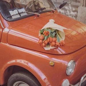 你baby是我的lady