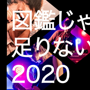 図鑑じゃ足りない