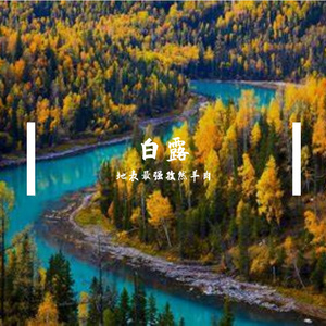 心跳频率的告白