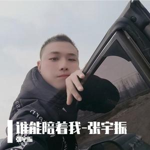 谁能陪着我-张宇振