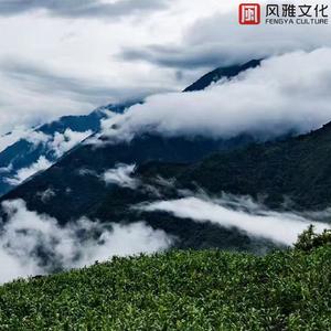 相册里的我们(钢琴)