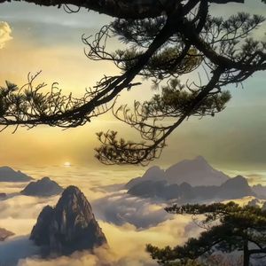 露营 vlog、自然纪录片声音