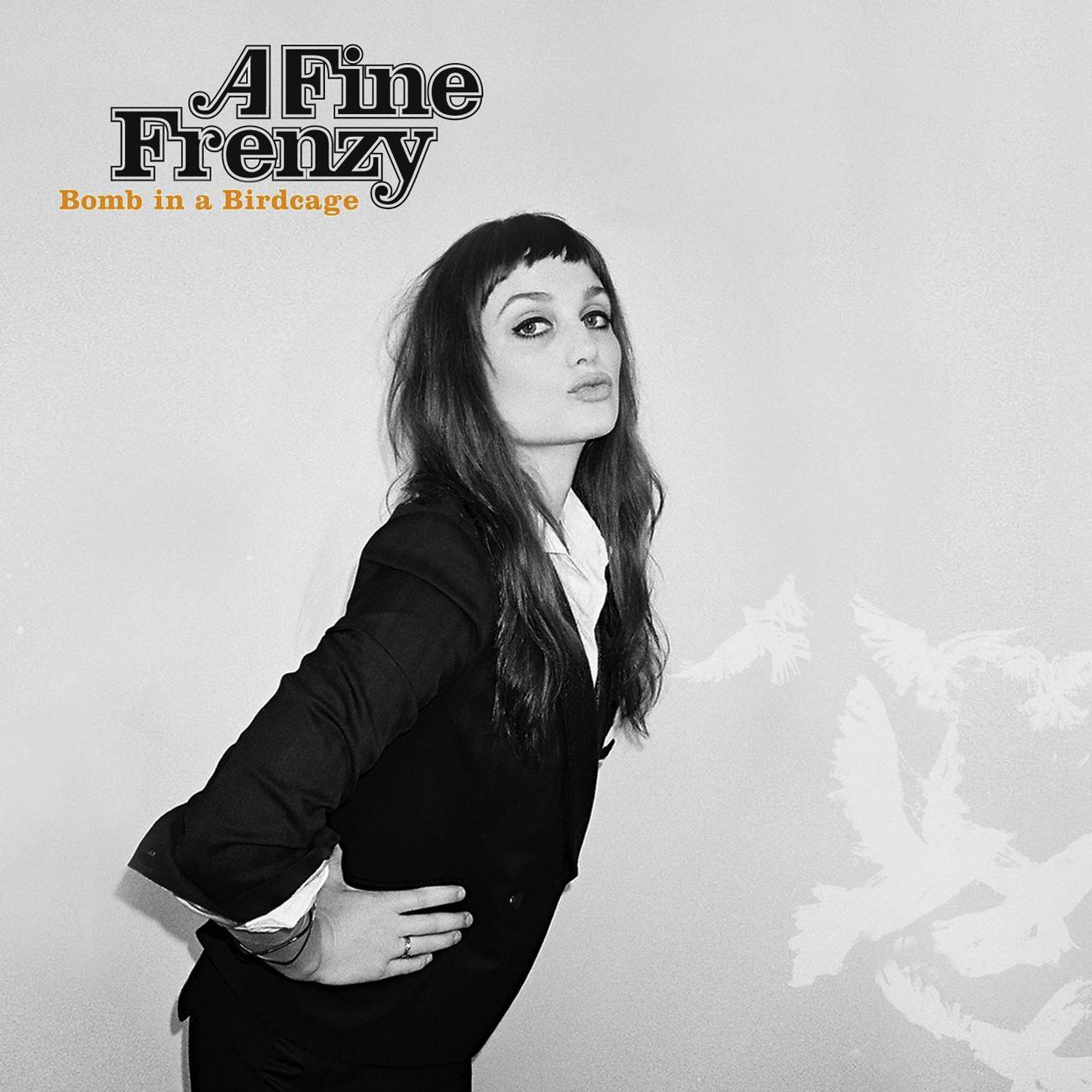 a fine frenzy,真實名:alison sudol,美國歌手.