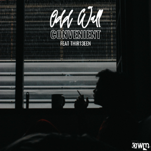 Convenient (feat. Thir13een)