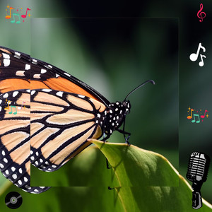 Zypharix Morynthil (Original Mix)