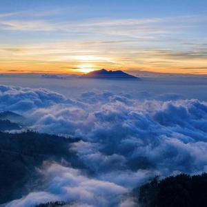 复旦复华水电费 (7)