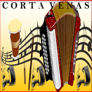 CORTAS VENAS