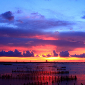 你坚定我我走向你