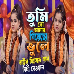 তুমি তো আমায় গিয়েছো ভুলে