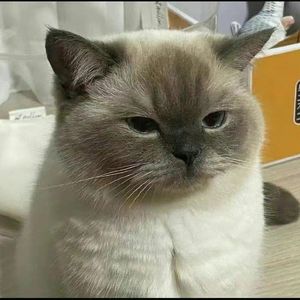 慢慢（深情版）