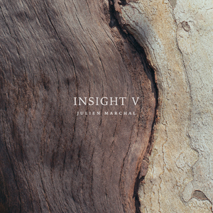 Insight XLV