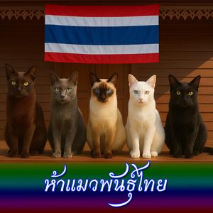 ห้าแมวพันธุ์ไทย