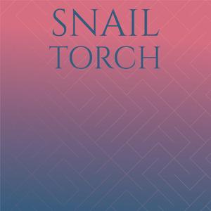 Creeper Neighbourhood