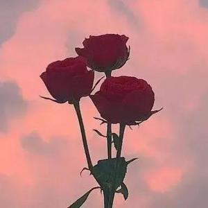 Flowers bloom. Goodbye