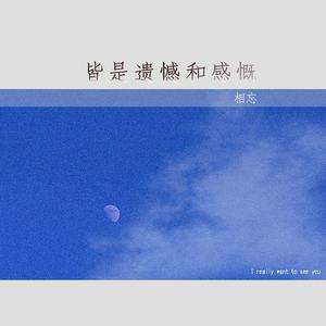 茫茫人海皆是遗憾和感慨