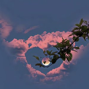 我的百分之百女孩