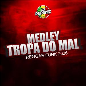 MEDLEY TROPA DO MAL (REGGAE FUNK)