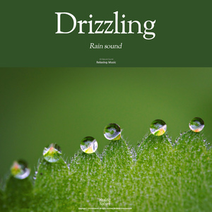 파전 먹을 때 듣기 좋은 빗소리 The sound of rain that fits when you eat hot soup