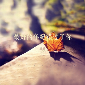 最好的年纪错过了你 (0.8x降速版)