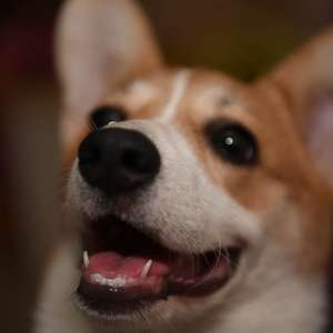 她说-终章-致我逝去的青春