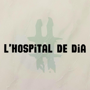 L’hospital de dia