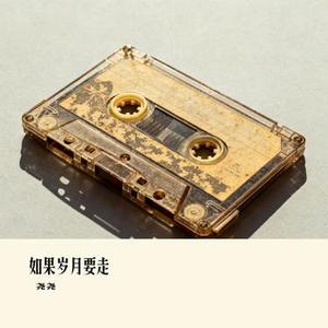 如果岁月要走