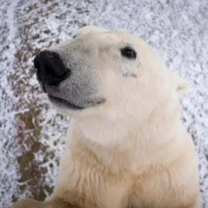 do your eyes yearn harder than your soul?