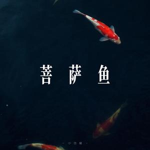 菩萨鱼 (DJ小仓鼠 Remix)