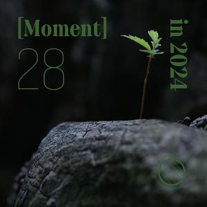Moment In 2024 - 28 - 좋은 일만 가득하길