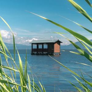 你该起势了（终有一日同风起）