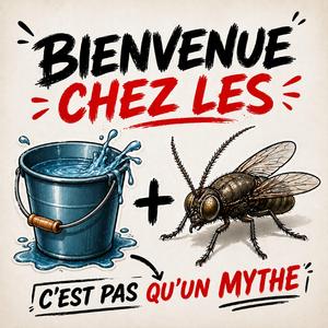 bienvenue chez les sodomites