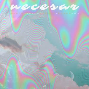 Necesar (Extended Version)