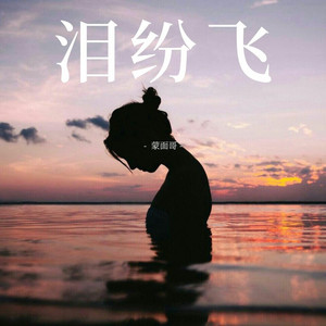 泪纷飞 (伴奏)