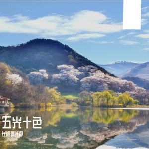 戈卞陶巴