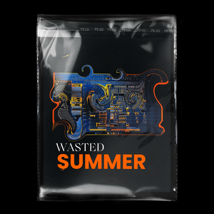 WASTED SUMMER (feat. BAAHI)
