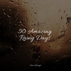 Wetland, Pond, Animals