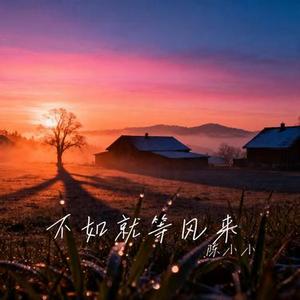 不如就等风来 (Cover 向思思)
