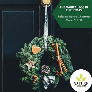 Mockingbird Sings in the Rainfall