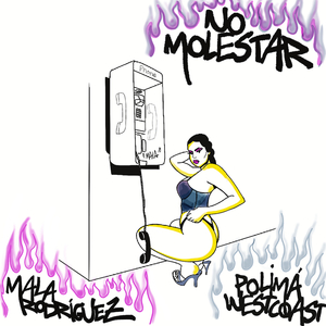 No Molestar