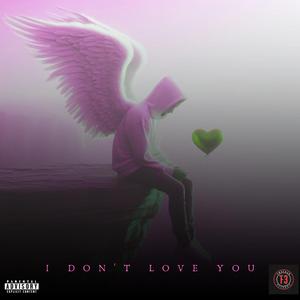 I DON'T LOVE YOU