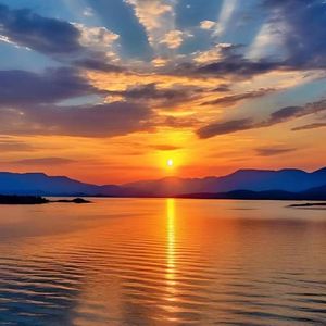 特别的人（Live）