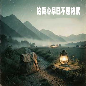 这颗心早已不愿将就