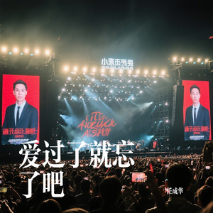 爱过了就忘了吧