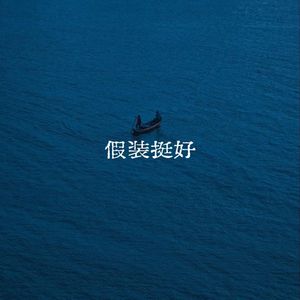假装挺好